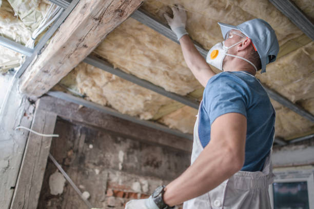 Best Local Insulation Services  in Garnett, KS