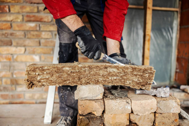 Best Insulation Removal Services  in Garnett, KS